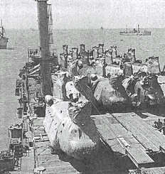 USNS Point Cruz loaded with CH-47 helicopters enroute to Vietnam in 1968.